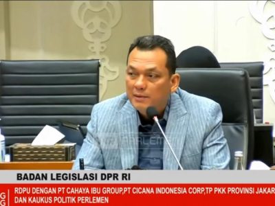 Anggota DPR RI Fraksi Nasdem, Martin Manurung